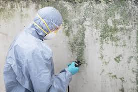 Best Air Quality Testing for Mold Spores  in Piney Mountain, VA